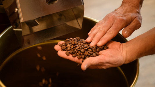 R for Robusta coffee beans